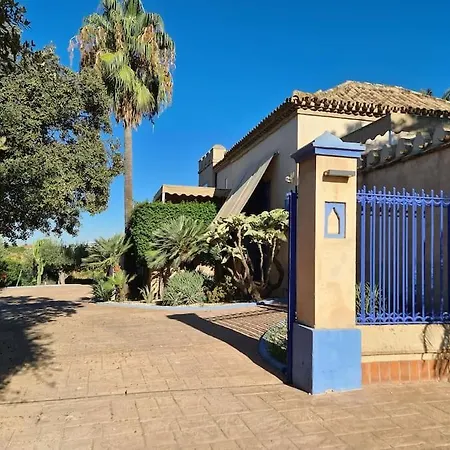 Andalusische